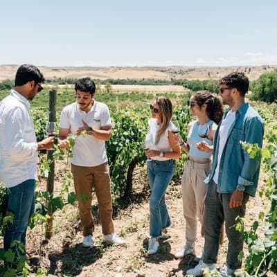 Toledo Walking Tour and Wine Tasting Experience