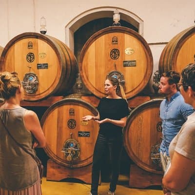 Amarone Wine Tasting Tour from Verona with Private Transportation