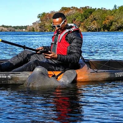 Small Group Manatee Discovery Kayak Tour near Orlando
