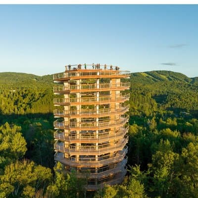 Treetop Observatory and Walk