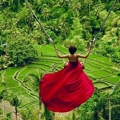 Ubud: Monkey Forest, Jungle Swing, Rice Terrace and Water Temple