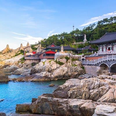 Authentic Busan Full-Day City Highlights Tour