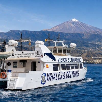 Leaders in Eco Respectful No chase whale and dolphin encounters