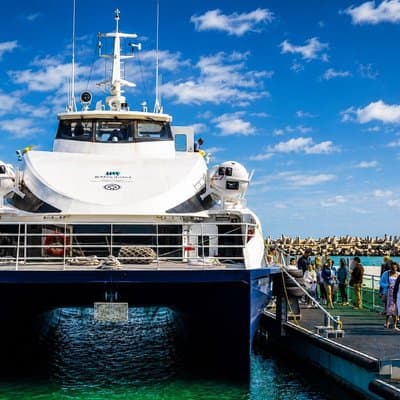 Cape Town: Robben Island Tour Including Ferry Tickets & Transfers