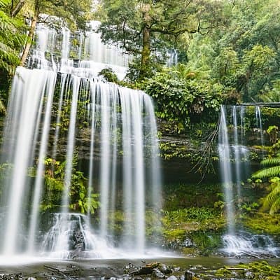 Day Tour in Mt. Field, Mt. Wellington, Bonorong Wildlife Sanctuary and Richmond