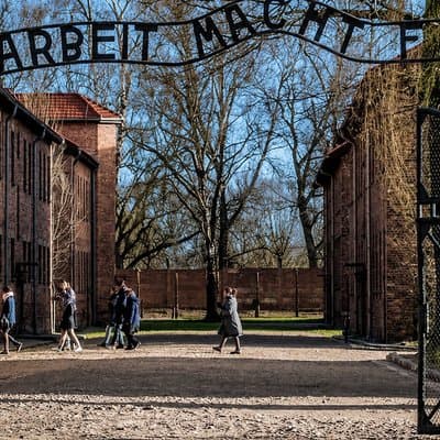 Auschwitz Birkenau Guided Tour with Ticket Hotel Pickup Small Van