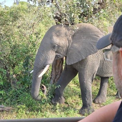 Kruger Park 1-day Safari from Maputo (Open-backed Safari Vehicle)