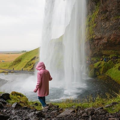 South Coast Day Tour Black Sand Beach & Waterfalls from Reykjavik