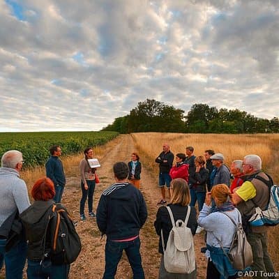 Tour of a Vineyard, Winery & Cellar with Wine Tasting in Vouvray, Loire Valley