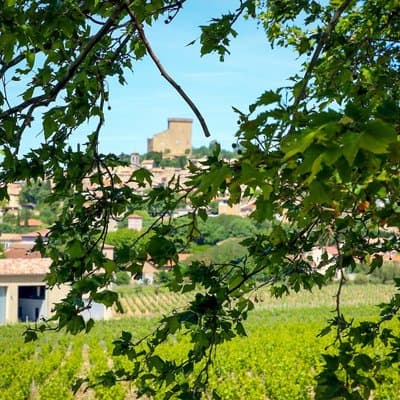 Private Châteauneuf-du-Pape tour - 3 Estates + Private Tastings