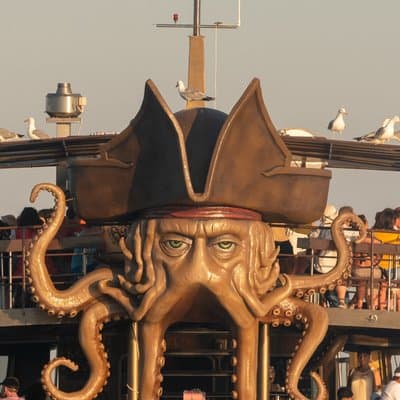 Medulin: 85% Dolphin Sunset Cruise, All-Inclusive & Face Painting