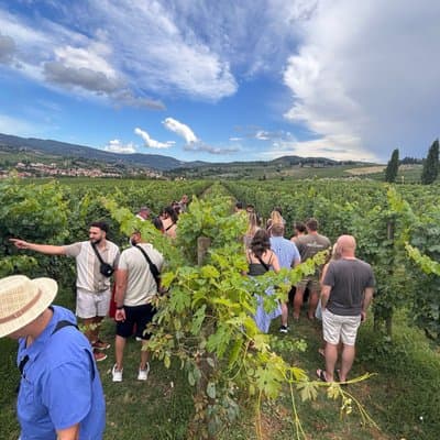 Small-Group Wine Tasting Experience in the Tuscan Countryside