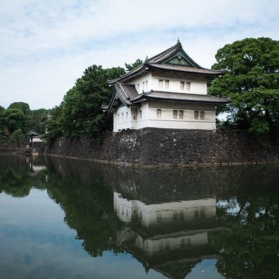 Imperial Palace East Garden and Edo Castle Walking Tour in Tokyo