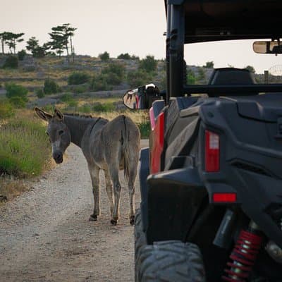 4-Seater Buggy — Self-Guided Adventure in Hvar