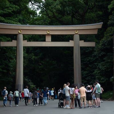 Harajuku Meiji Shrine Walking Tour in Tokyo