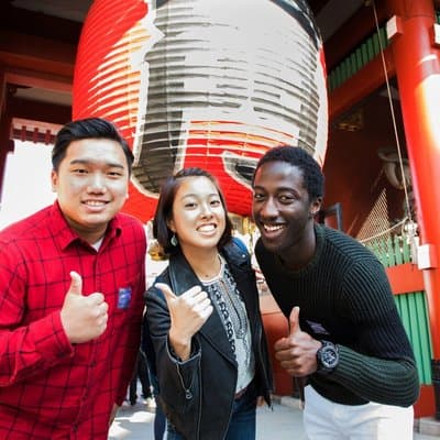 Tokyo Panoramic Full Day Tour: Meiji Shrine, Asakusa and SKYTREE®