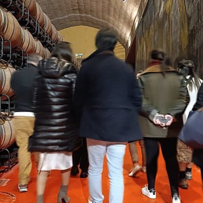 Rioja Wine Tour: Visit 3 Wineries with Pintxos for Lunch