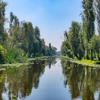 Xochimilco Natural Reserve-Isla de las Muñecas Original - Coyoacán