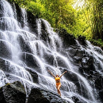 Ubud Waterfalls, Rice Terrace & Jungle Swing - Private Tour