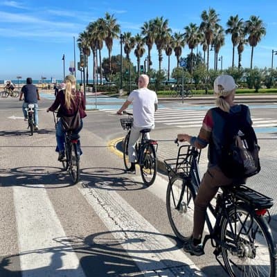 Valencia: E-bike Tour, Beaches & City of Arts and Sciences