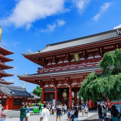 Tokyo Private Tour: Temples, Culture & Modern City Highlights
