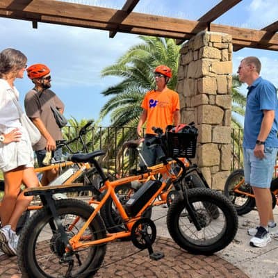 Barcelona Montjuïc E-Bike Tour: Castle, Views & Highlights