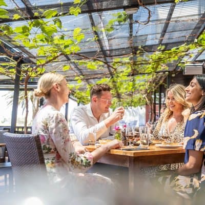 Taste of Waiheke Food and Wine Tour