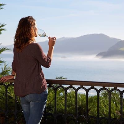 San Sebastian: Private Txakoli Wine Tasting & Hondarribia pintxos