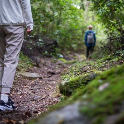 Hakone Zen Walking Tour Following 1,000 Years of Footsteps