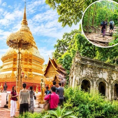 Chiang Mai - Doi Suthep Temple & Wat Pha Lat Hike