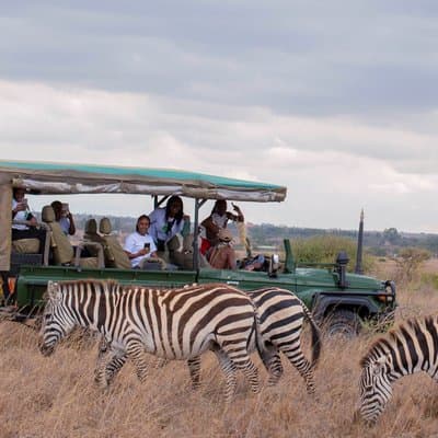 Safari Tour; Nairobi National Park