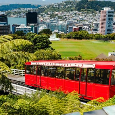 Discover Wellington 3 hour City Tour
