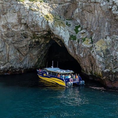 Maria Island Cruise & Walk Day Tour with Lunch (from Hobart)