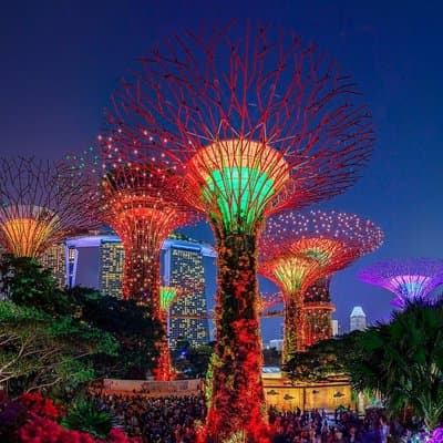 Singapore Starry Night River Cruise, Spectra and Garden Rhapsody