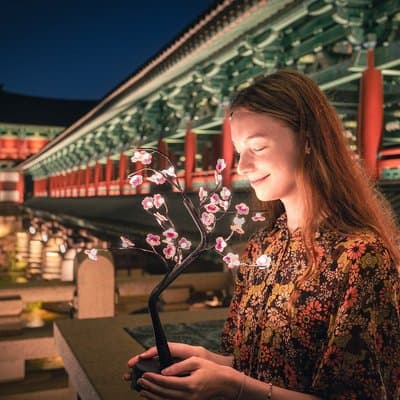 Old Korea Thousand History Tour of Gyeongju from Busan