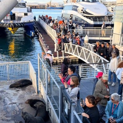 Half Day Tour to Robben Island with Reserved Tickets