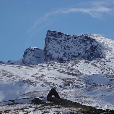 Sierra Nevada Safari – Small Group Tour Up to 2,500 Meters