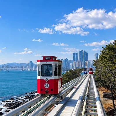 Busan Highlights: Small Group, Hotel Pick-up & Sky Capsule