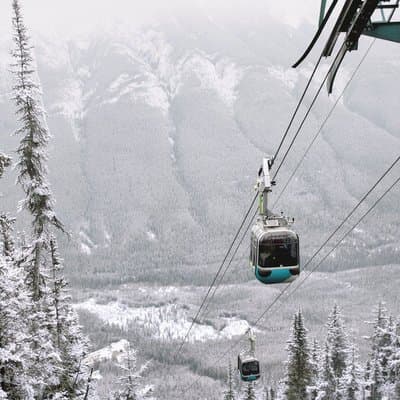 Banff Highlights and Wildlife Small Group Tour with Gondola