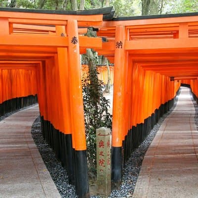 PERFECT KYOTO 1-Day Bus Tour