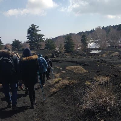 Mount Etna Half-Day Small Group Tour from Taormina