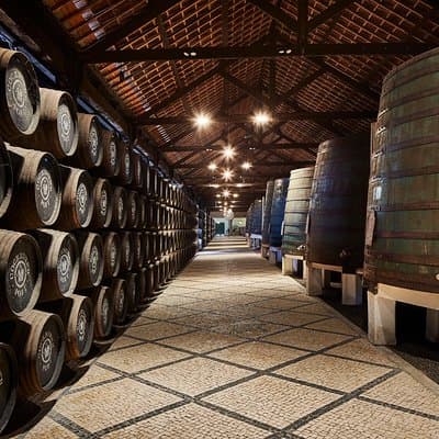 Port : Cockburn's Port Lodge Tour & Main Room Wine Tasting