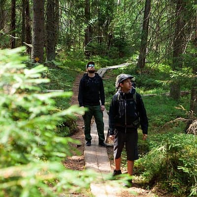 Magical Taiga Forest Hike with Lunch and Transportation