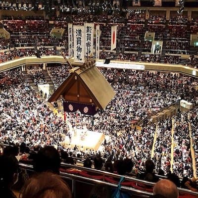 Ultimate Sumo Tournament: Tokyo, Osaka, Nagoya, Fukuoka