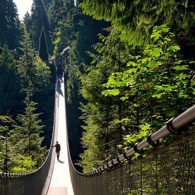 Vancouver City Sightseeing Tour: Capilano Suspension Bridge & Vancouver Lookout