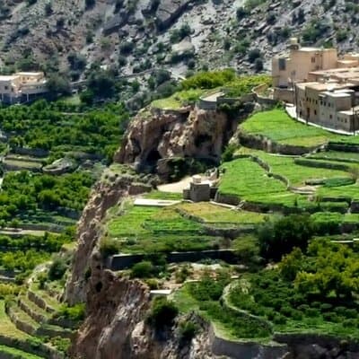 Full Day Private Nizwa/Jebel Akhdar