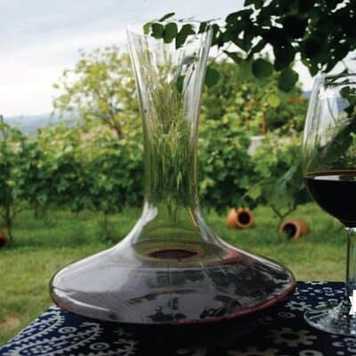 Full Day Private Wine Tour in Kakheti Region with Lunch and 3 Wine Tastings