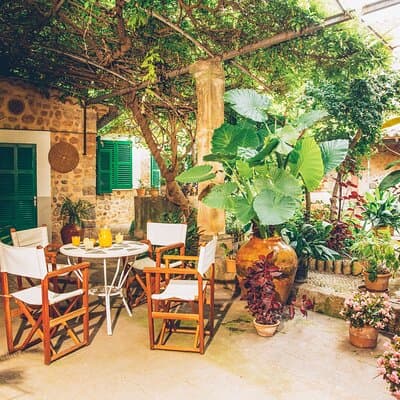 Guided Tasting Tour in 16th century House and Olive Oil Factory