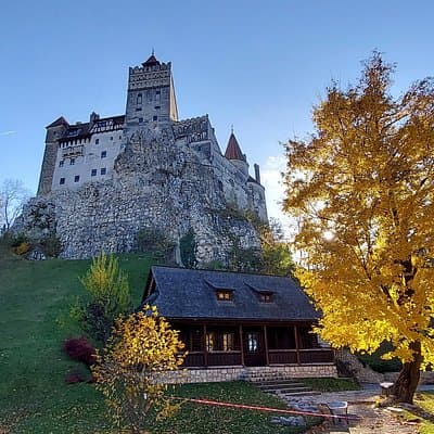 Exclusive Tour: Bran Castle and Brasov from Sibiu