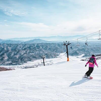 Full Day Private Skiing / Snowboarding Tour in Sapporo